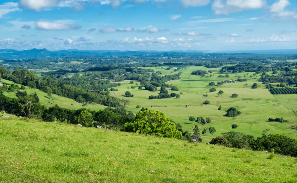 炭焼きレストランさわやか